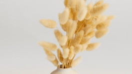 demo-attachment-716-pexels-artem-podrez-4612458